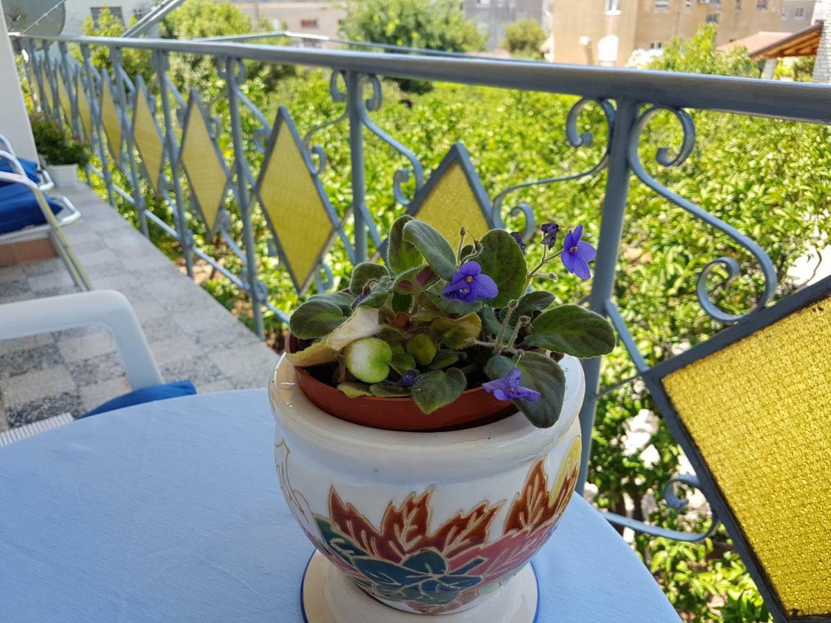 Apartment Marija & Iko Трогир Екстериор снимка